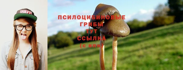 apvp Алексин