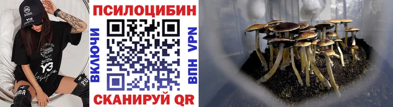 omg вход  Тайшет  Галлюциногенные грибы мухоморы 